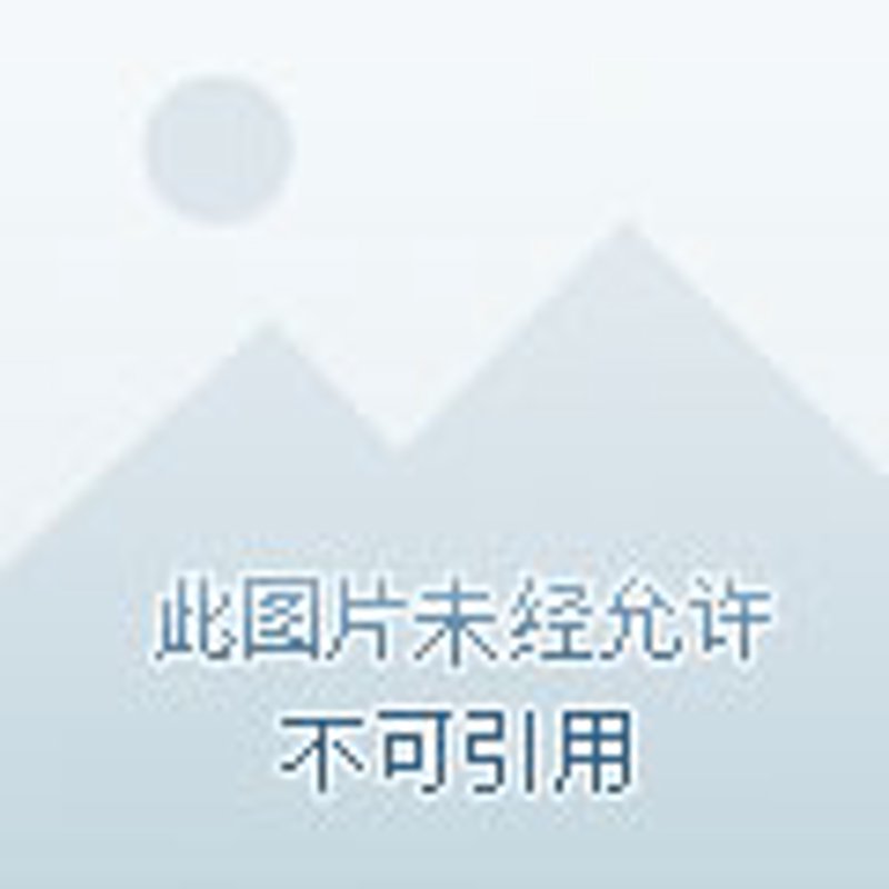 白城市生态新区：绿色崛起的新引擎